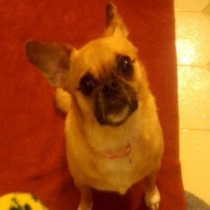 Meet your Posher, Christine